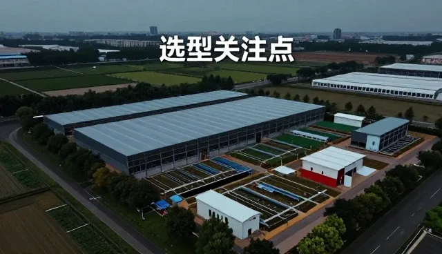 性能与适用条件：如何选择适合的开发平台